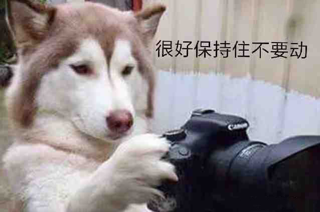给想买相机的新手一些建议