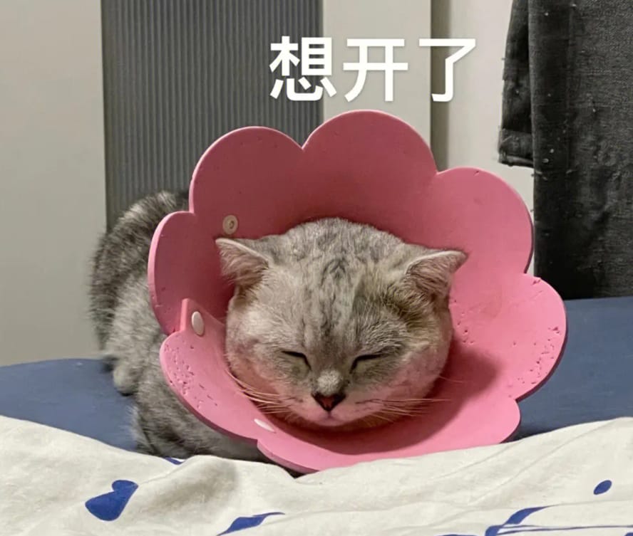 它想开了.jpg 它想开了.jpg