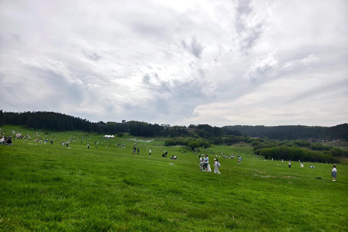 163321.jpg 163321.jpg