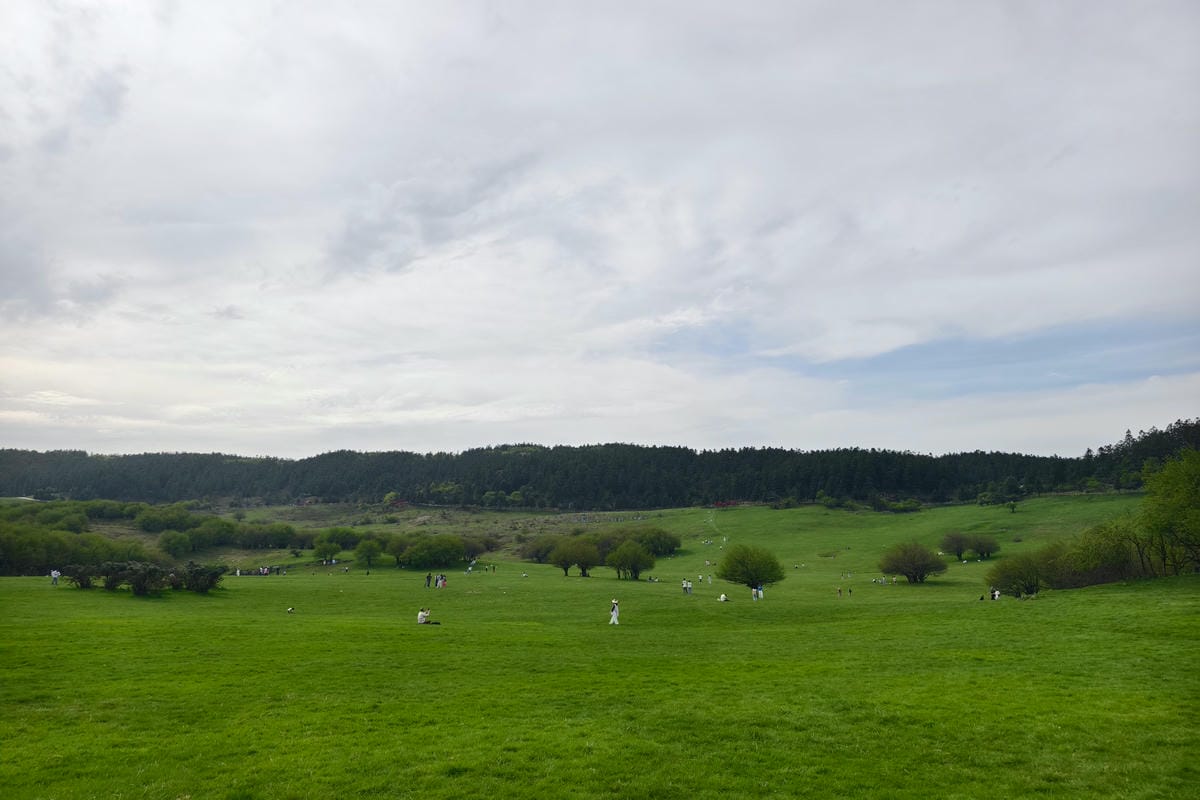 164247.jpg 164247.jpg
