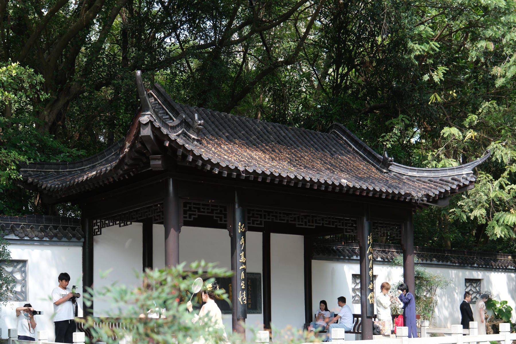 DSCF7329.jpg